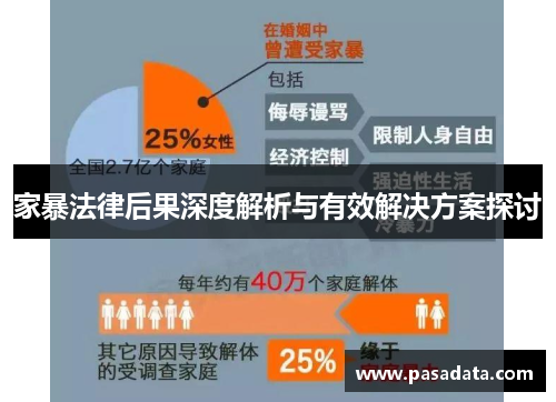 家暴法律后果深度解析与有效解决方案探讨