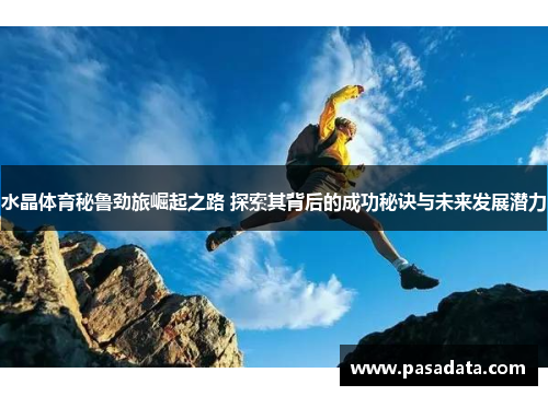 水晶体育秘鲁劲旅崛起之路 探索其背后的成功秘诀与未来发展潜力